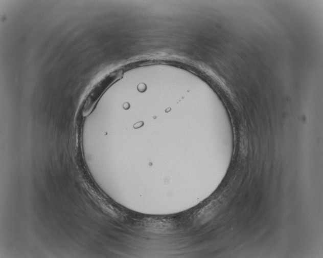 X0000083991270200703161613