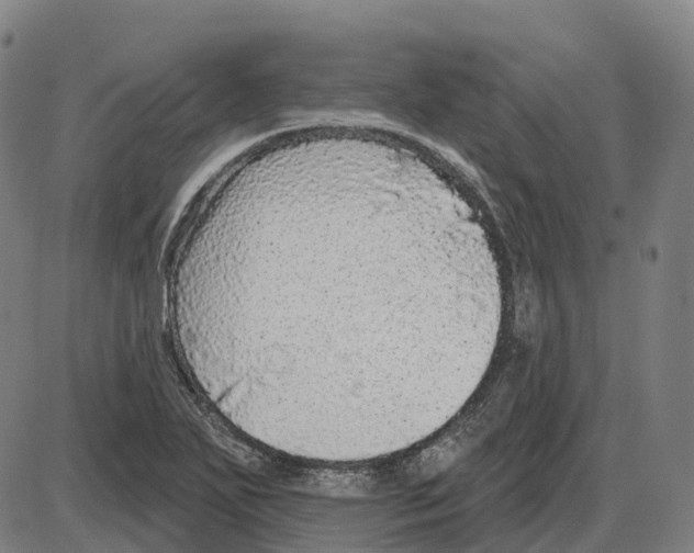 X0000083991271200703161613