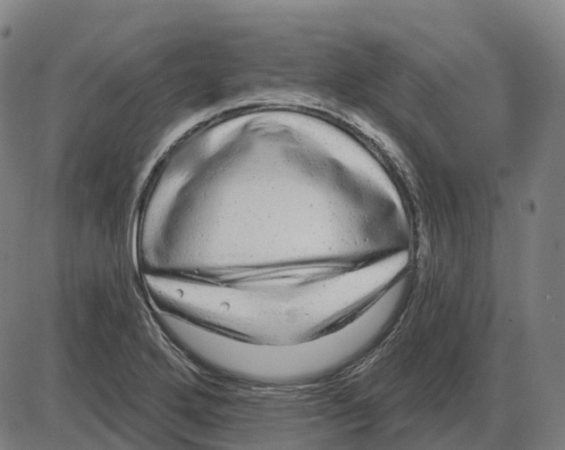 X0000083991272200703161613