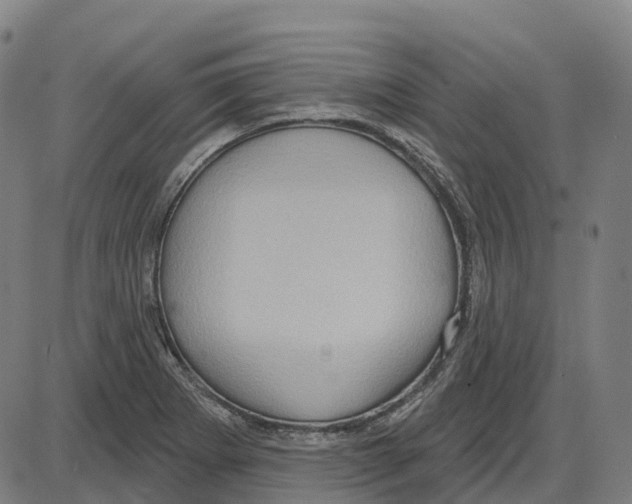 X0000083991273200703161613