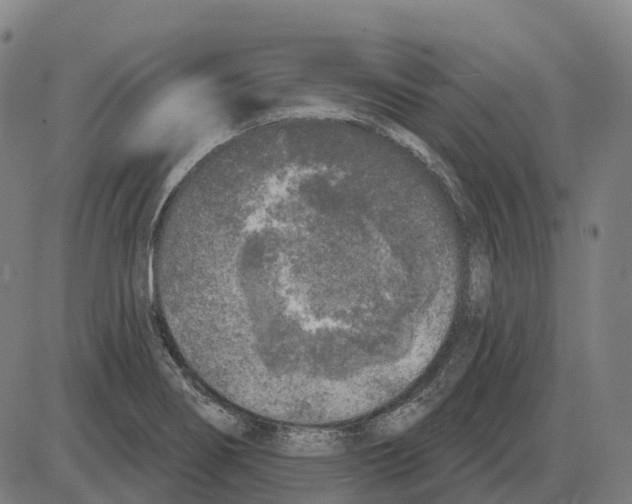 X0000083991274200703161613