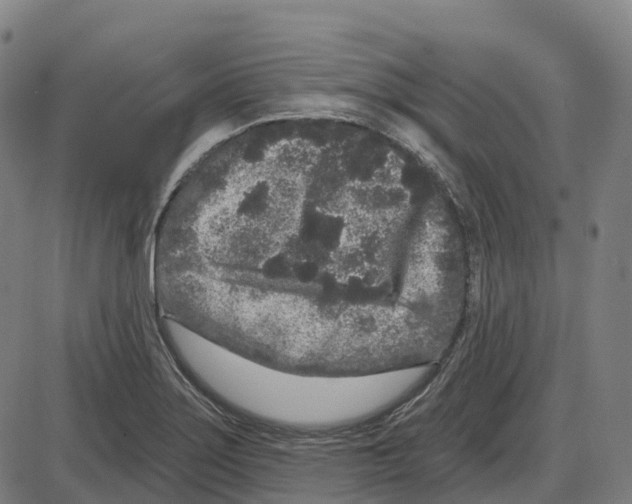 X0000083991275200703161613