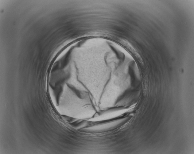 X0000083991276200703161613