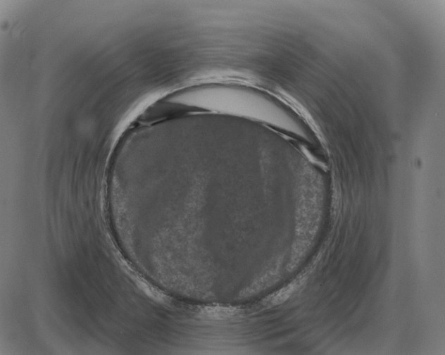 X0000083991277200703161613