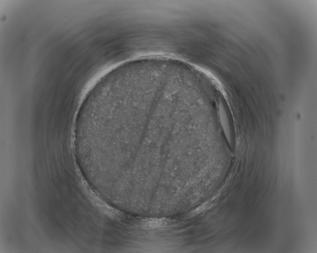 X0000083991279200703161613