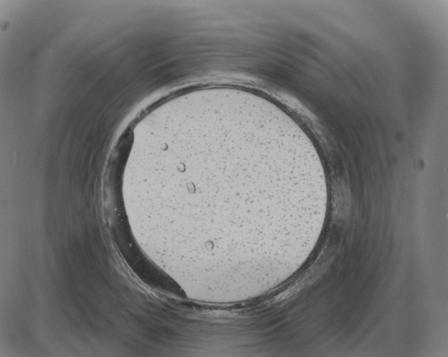 X0000083991280200703161613