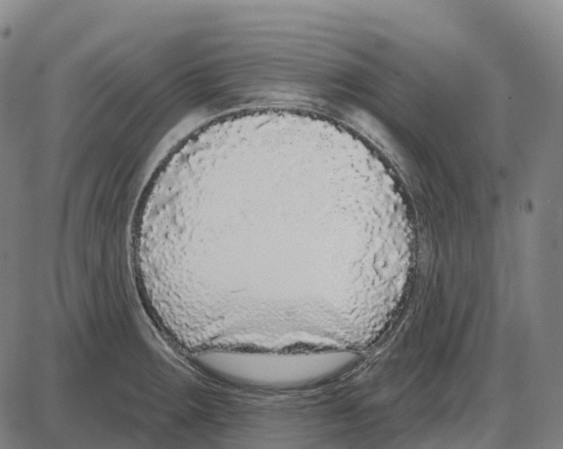 X0000083991283200703161613