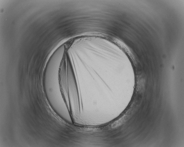 X0000083991284200703161613