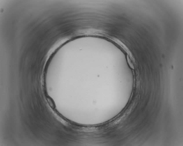 X0000083991285200703161613