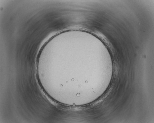 X0000083991286200703161613