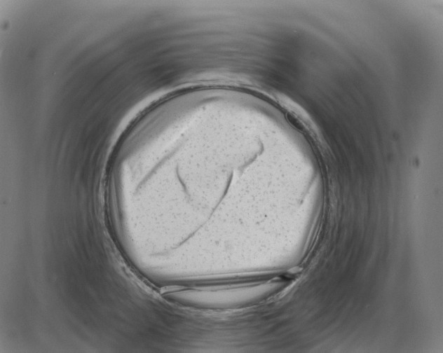 X0000083991288200703161613