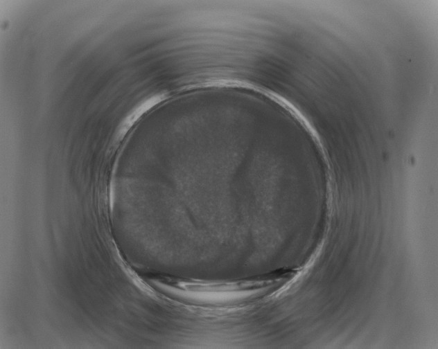 X0000083991289200703161613