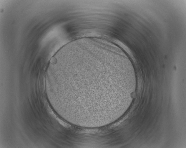 X0000083991290200703161613