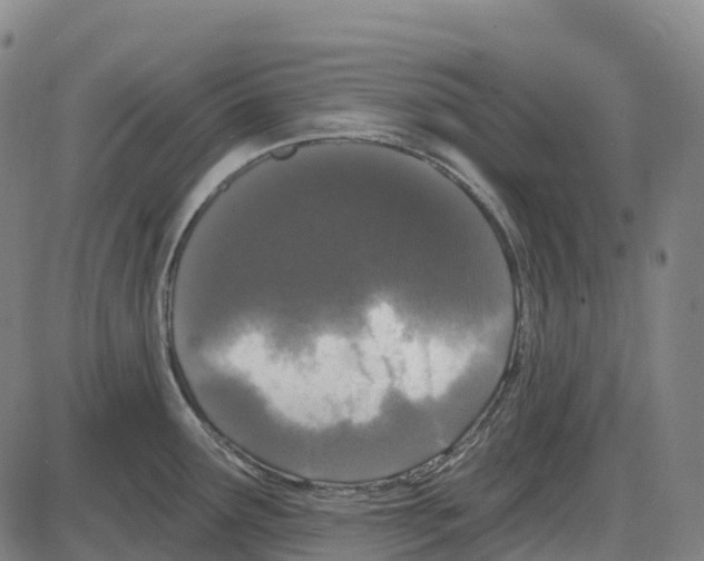 X0000083991291200703161613