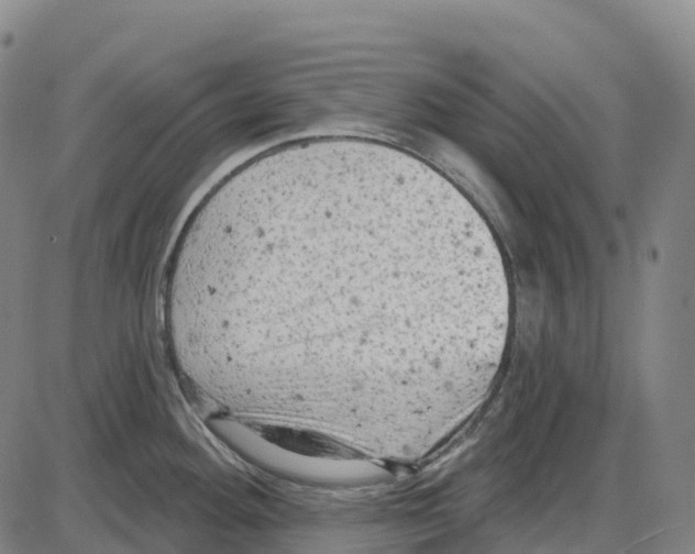 X0000083991292200703161613