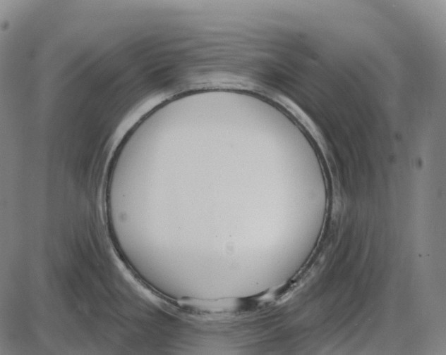 X0000083991293200703161613