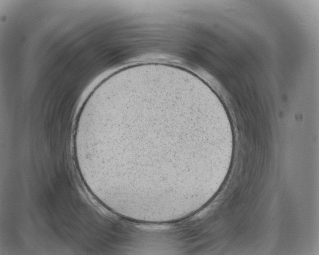 X0000083991296200703161613