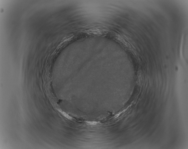 X0000083991297200703161612