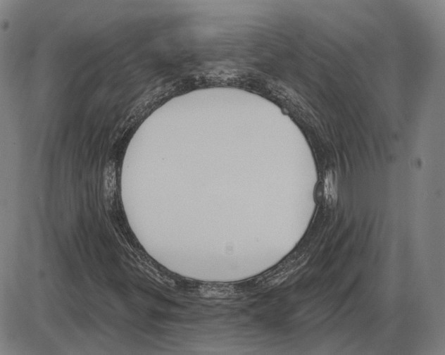 X0000083991299200703161612