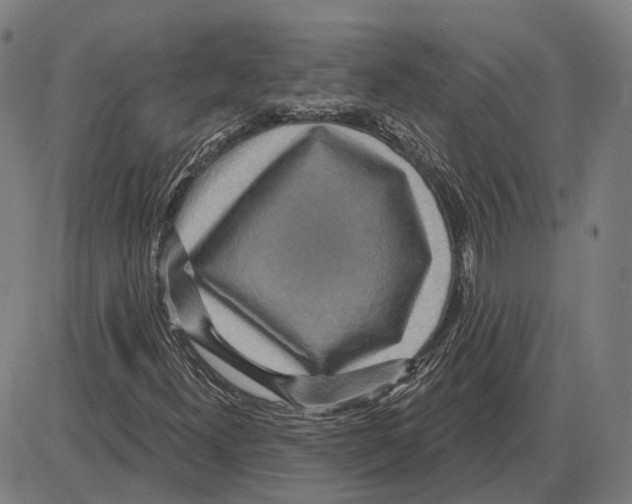 X0000083991300200703161612