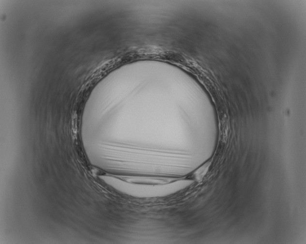 X0000083991301200703161612