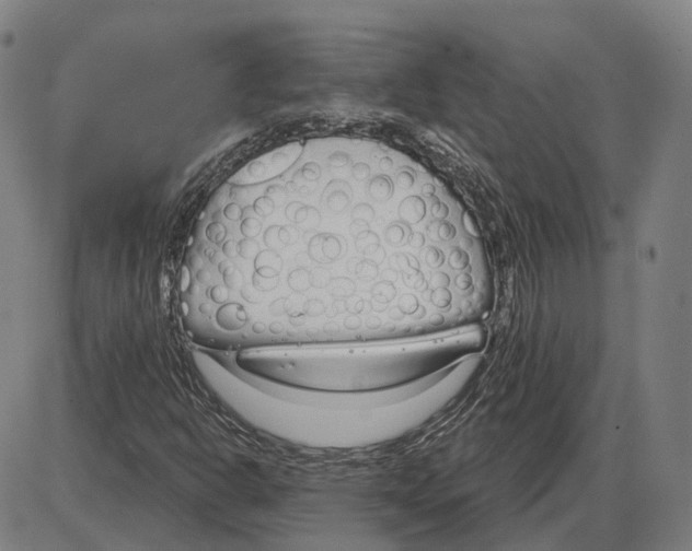 X0000083991302200703161612