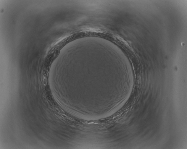 X0000083991303200703161612