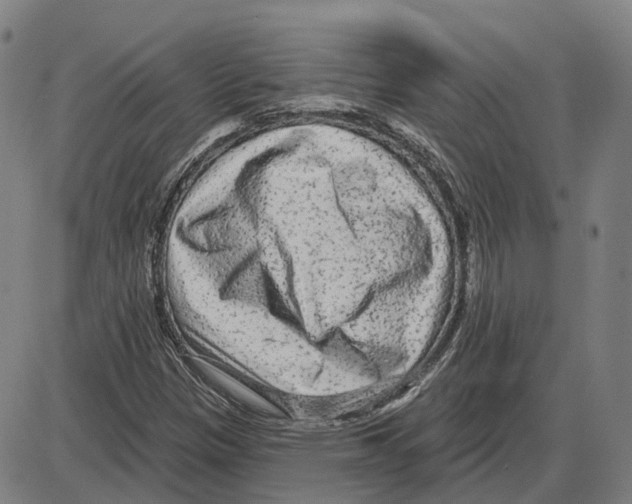 X0000083991305200703161612