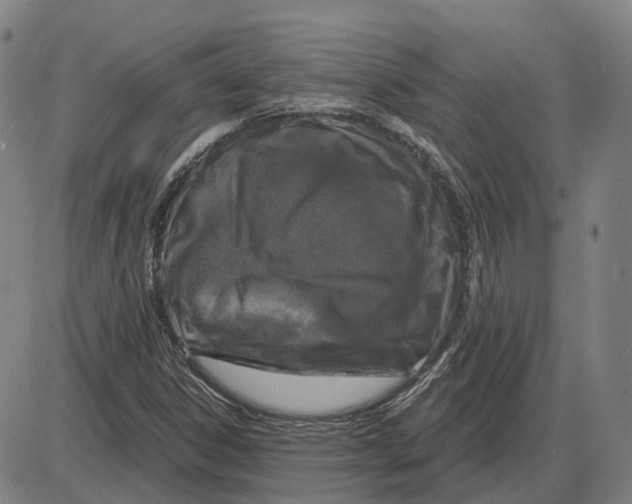 X0000083991306200703161612