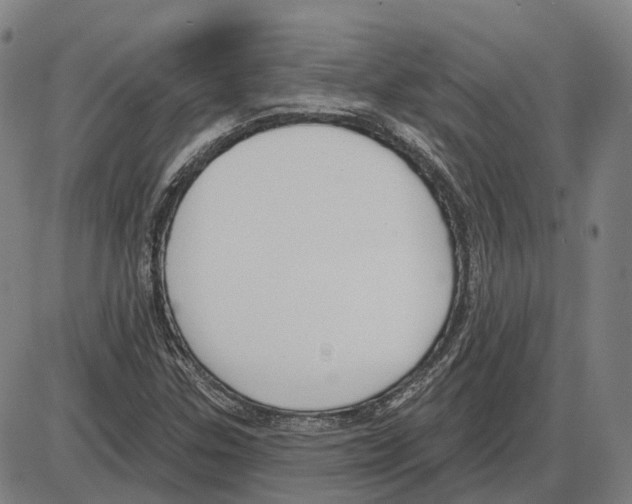 X0000083991307200703161612