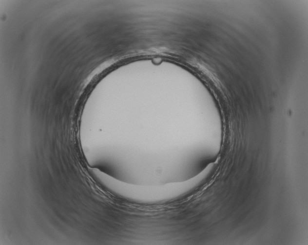 X0000083991308200703161612