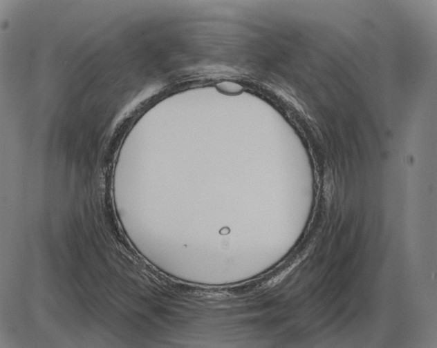 X0000083991309200703161612