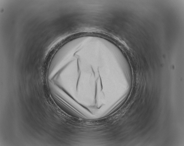 X0000083991311200703161612