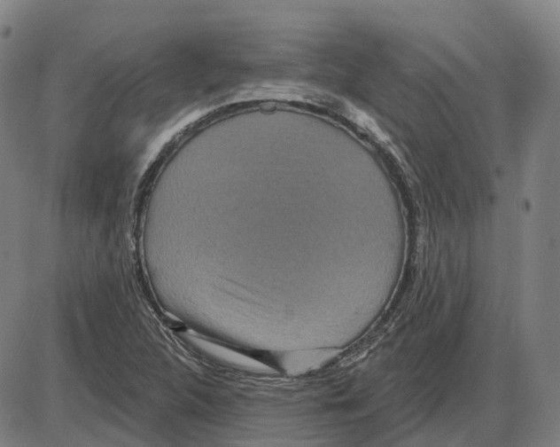 X0000083991312200703161612