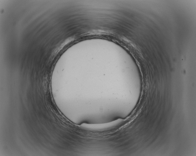 X0000083991313200703161612