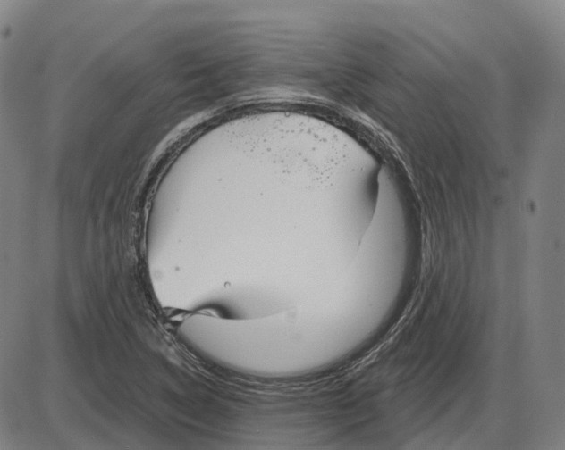 X0000083991314200703161612