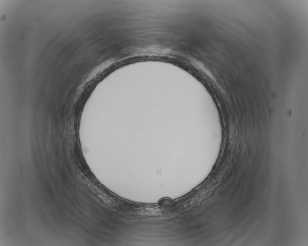 X0000083991315200703161612