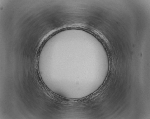 X0000083991316200703161612