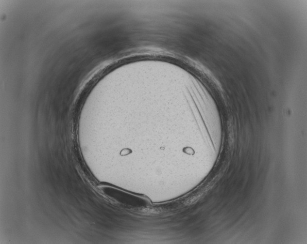 X0000083991318200703161613