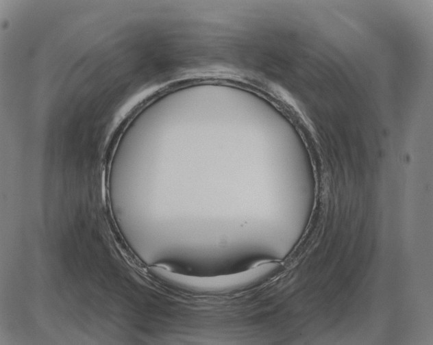 X0000083991320200703161613