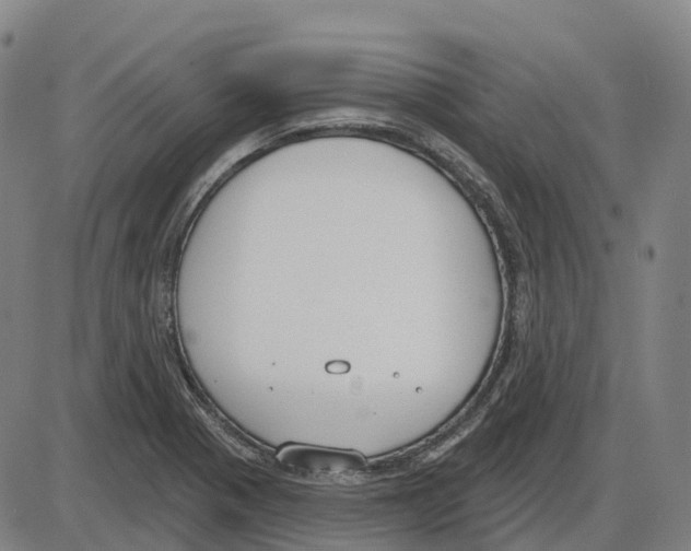 X0000083991321200703161613