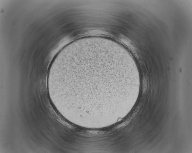 X0000083991322200703161613