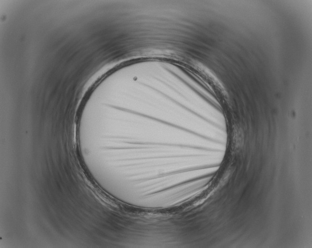 X0000083991324200703161613