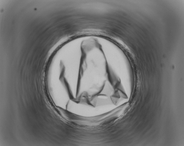 X0000083991325200703161613