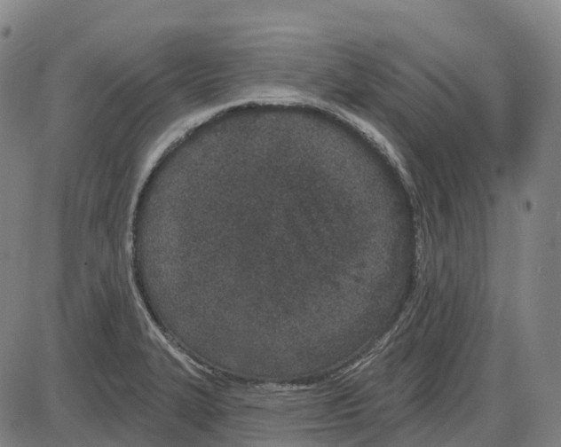 X0000083991327200703161613