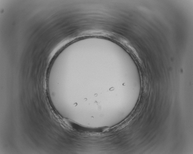 X0000083991328200703161613