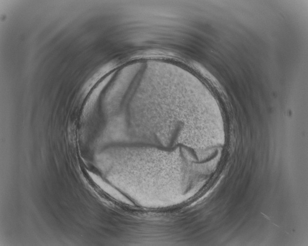 X0000083991329200703161613