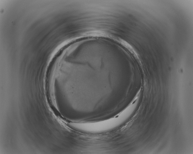 X0000083991334200703161613