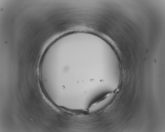 X0000083991335200703161613