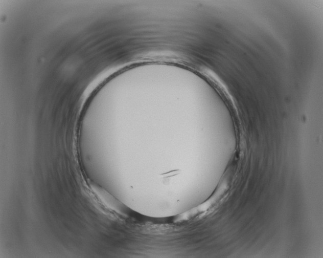 X0000083991336200703161613